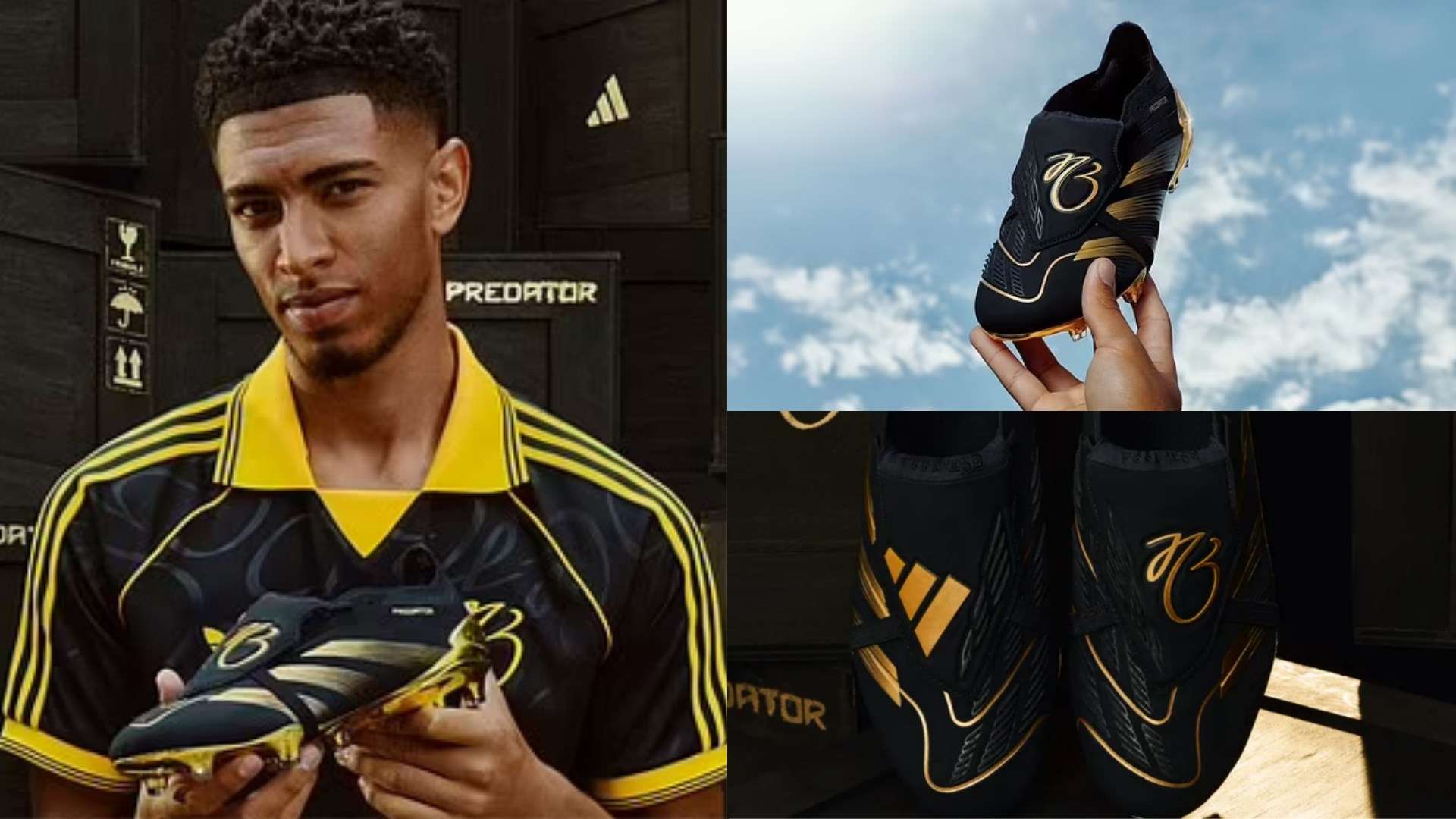 几个赛季中 几个赛季中